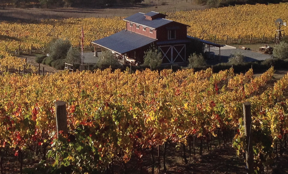 La Vida Bella Vineyard Aptos California